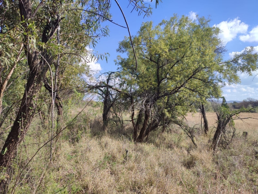 0 Bedroom Property for Sale in Zeerust North West
